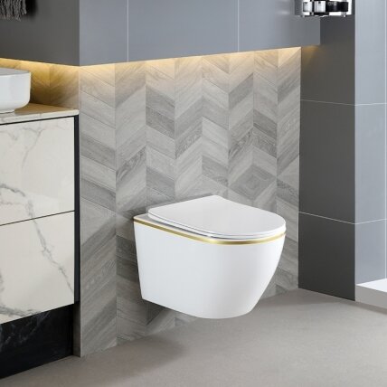 WC KOMPLEKTAS SU POTINKINIU RĖMU IR MYGTUKU WC243 4