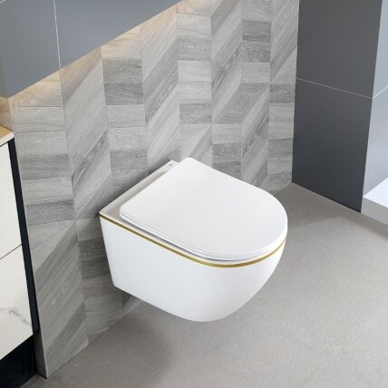 WC KOMPLEKTAS SU POTINKINIU RĖMU IR MYGTUKU WC241 8