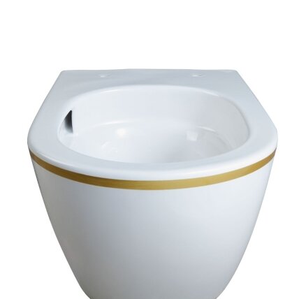 WC KOMPLEKTAS SU POTINKINIU RĖMU IR MYGTUKU WC242 5