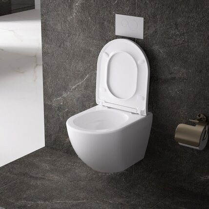 WC KOMPLEKTAS SU POTINKINIU RĖMU IR MYGTUKU WC167 6 WC KOMPLEKTAS SU POTINKINIU RĖMU IR MYGTUKU WC167 6