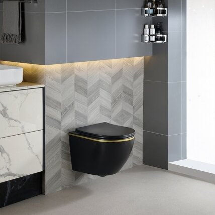 WC KOMPLEKTAS SU POTINKINIU RĖMU IR MYGTUKU WC249 4