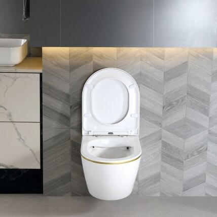 WC KOMPLEKTAS SU POTINKINIU RĖMU IR MYGTUKU WC271 11 WC KOMPLEKTAS SU POTINKINIU RĖMU IR MYGTUKU WC271 11
