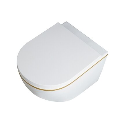 WC KOMPLEKTAS SU POTINKINIU RĖMU IR MYGTUKU WC270 7