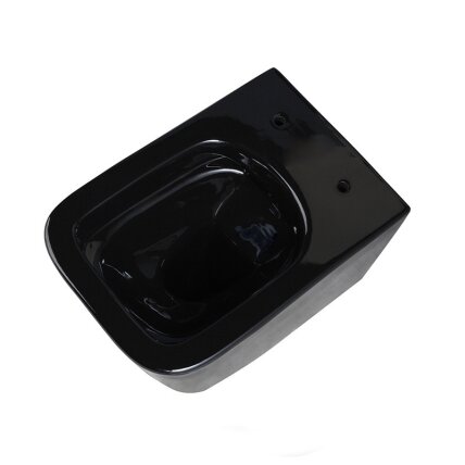WC KOMPLEKTAS SU POTINKINIU RĖMU IR MYGTUKU WC248 7 WC KOMPLEKTAS SU POTINKINIU RĖMU IR MYGTUKU WC248 7