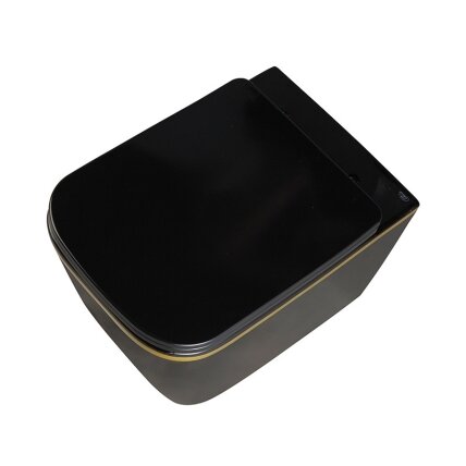 WC KOMPLEKTAS SU POTINKINIU RĖMU IR MYGTUKU WC245 5 WC KOMPLEKTAS SU POTINKINIU RĖMU IR MYGTUKU WC245 5