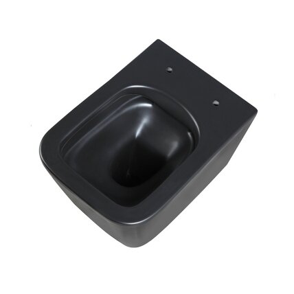 WC KOMPLEKTAS SU POTINKINIU RĖMU IR MYGTUKU WC268 8 WC KOMPLEKTAS SU POTINKINIU RĖMU IR MYGTUKU WC268 8