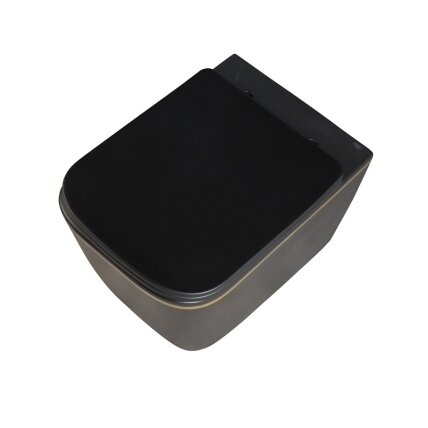 WC KOMPLEKTAS SU POTINKINIU RĖMU IR MYGTUKU WC267 6 WC KOMPLEKTAS SU POTINKINIU RĖMU IR MYGTUKU WC267 6