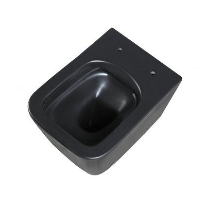 WC KOMPLEKTAS SU POTINKINIU RĖMU IR MYGTUKU WC217 9 WC KOMPLEKTAS SU POTINKINIU RĖMU IR MYGTUKU WC217 9