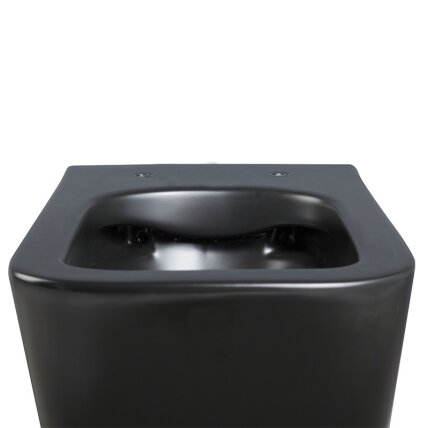 WC KOMPLEKTAS SU POTINKINIU RĖMU IR MYGTUKU WC218 11 WC KOMPLEKTAS SU POTINKINIU RĖMU IR MYGTUKU WC218 11