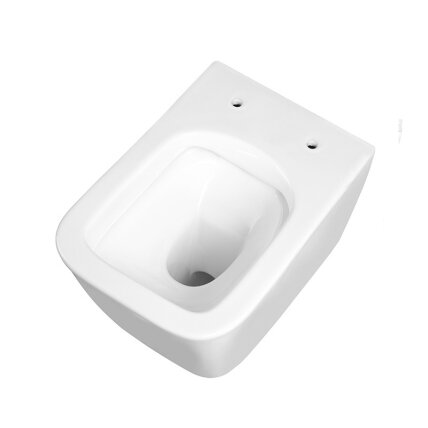 WC KOMPLEKTAS SU POTINKINIU RĖMU IR MYGTUKU WC209 9 WC KOMPLEKTAS SU POTINKINIU RĖMU IR MYGTUKU WC209 9