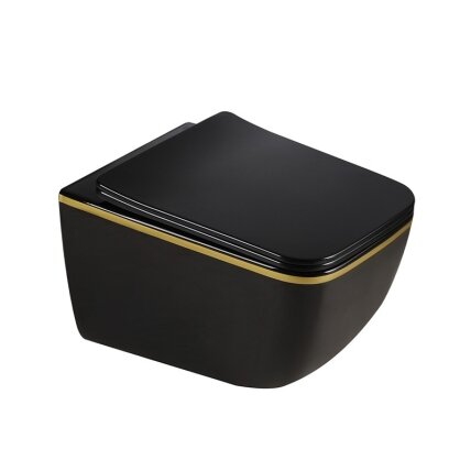 WC KOMPLEKTAS SU POTINKINIU RĖMU IR MYGTUKU WC306 3 WC KOMPLEKTAS SU POTINKINIU RĖMU IR MYGTUKU WC306 3