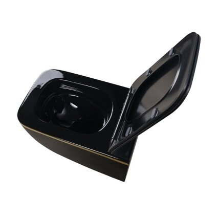 WC KOMPLEKTAS SU POTINKINIU RĖMU IR MYGTUKU WC304 9 WC KOMPLEKTAS SU POTINKINIU RĖMU IR MYGTUKU WC304 9