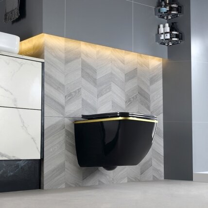WC KOMPLEKTAS SU POTINKINIU RĖMU IR MYGTUKU WC305 6 WC KOMPLEKTAS SU POTINKINIU RĖMU IR MYGTUKU WC305 6