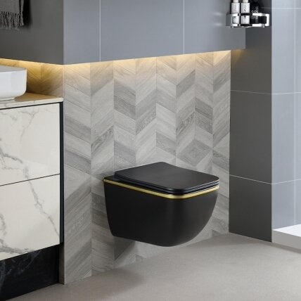 WC KOMPLEKTAS SU POTINKINIU RĖMU IR MYGTUKU WC311 4 WC KOMPLEKTAS SU POTINKINIU RĖMU IR MYGTUKU WC311 4