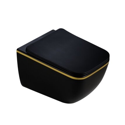 WC KOMPLEKTAS SU POTINKINIU RĖMU IR MYGTUKU WC308 3 WC KOMPLEKTAS SU POTINKINIU RĖMU IR MYGTUKU WC308 3