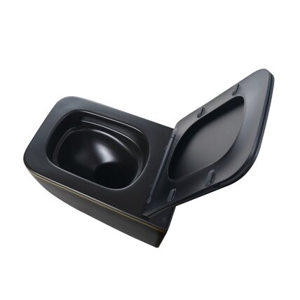 WC KOMPLEKTAS SU POTINKINIU RĖMU IR MYGTUKU WC309 9 WC KOMPLEKTAS SU POTINKINIU RĖMU IR MYGTUKU WC309 9