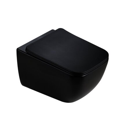 WC KOMPLEKTAS SU POTINKINIU RĖMU IR MYGTUKU WC325 3