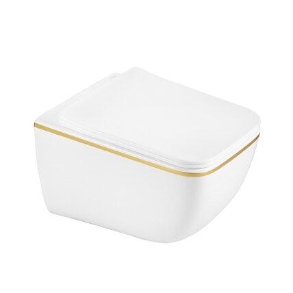 WC KOMPLEKTAS SU POTINKINIU RĖMU IR MYGTUKU WC302 3 WC KOMPLEKTAS SU POTINKINIU RĖMU IR MYGTUKU WC302 3