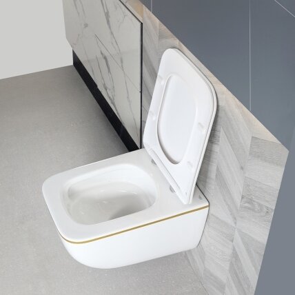 WC KOMPLEKTAS SU POTINKINIU RĖMU IR MYGTUKU WC302 10 WC KOMPLEKTAS SU POTINKINIU RĖMU IR MYGTUKU WC302 10