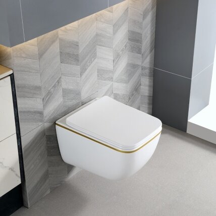 WC KOMPLEKTAS SU POTINKINIU RĖMU IR MYGTUKU WC300 8 WC KOMPLEKTAS SU POTINKINIU RĖMU IR MYGTUKU WC300 8
