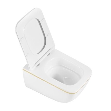 WC KOMPLEKTAS SU POTINKINIU RĖMU IR MYGTUKU WC301 7 WC KOMPLEKTAS SU POTINKINIU RĖMU IR MYGTUKU WC301 7