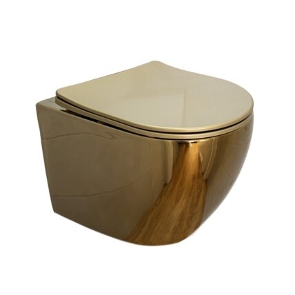 WC KOMPLEKTAS SU POTINKINIU RĖMU IR MYGTUKU WC132 10