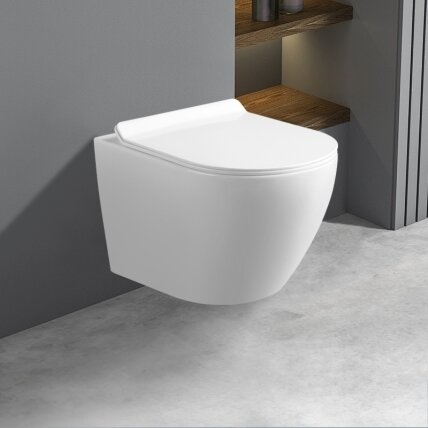 WC KOMPLEKTAS SU POTINKINIU RĖMU IR MYGTUKU WC102 8