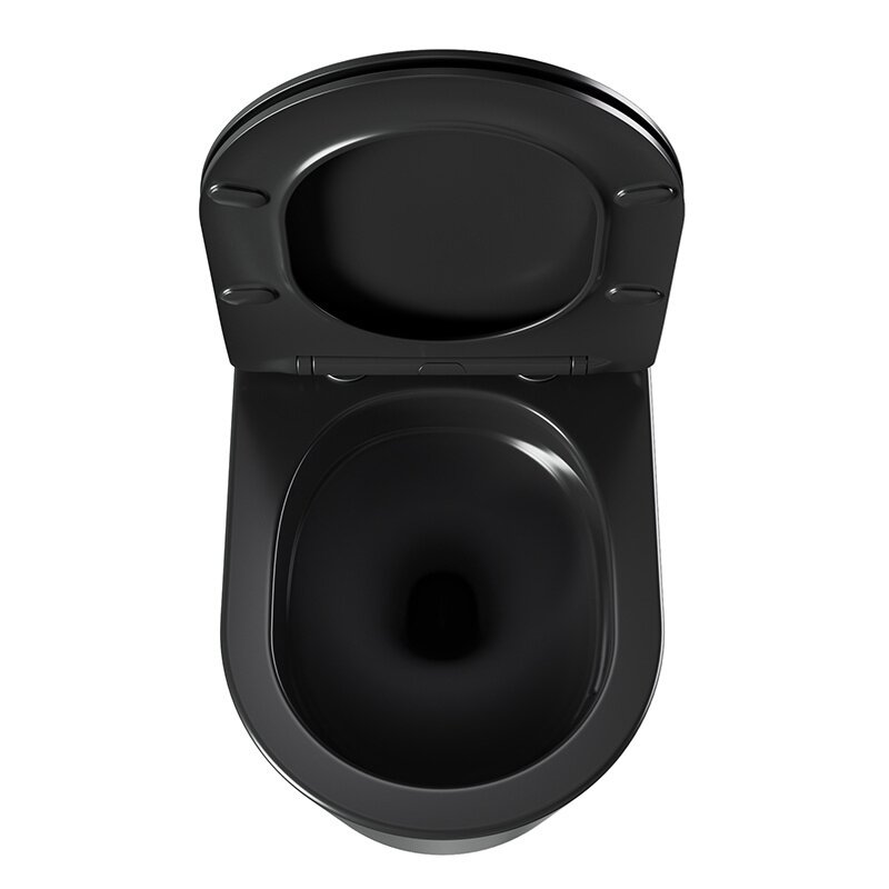 WC KOMPLEKTAS SU POTINKINIU RĖMU IR MYGTUKU WC45 4 WC KOMPLEKTAS SU POTINKINIU RĖMU IR MYGTUKU WC45 4