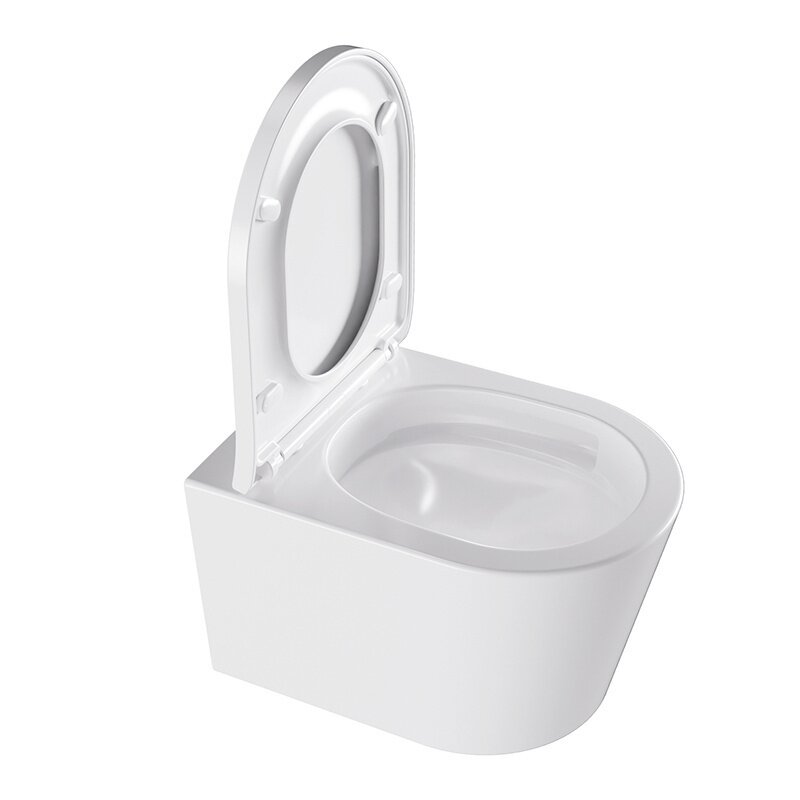 WC KOMPLEKTAS SU POTINKINIU RĖMU IR MYGTUKU WC8 3 WC KOMPLEKTAS SU POTINKINIU RĖMU IR MYGTUKU WC8 3