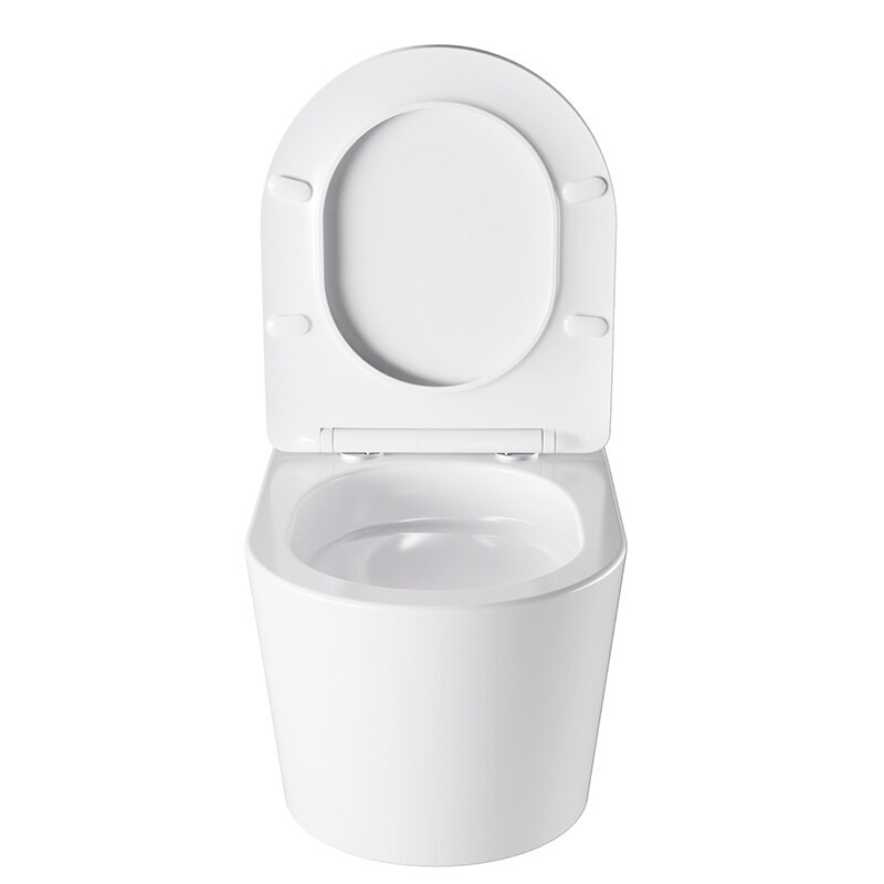 WC KOMPLEKTAS SU POTINKINIU RĖMU IR MYGTUKU WC15 3 WC KOMPLEKTAS SU POTINKINIU RĖMU IR MYGTUKU WC15 3