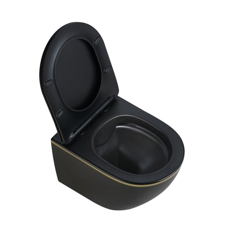 WC KOMPLEKTAS SU POTINKINIU RĖMU IR MYGTUKU WC384 6