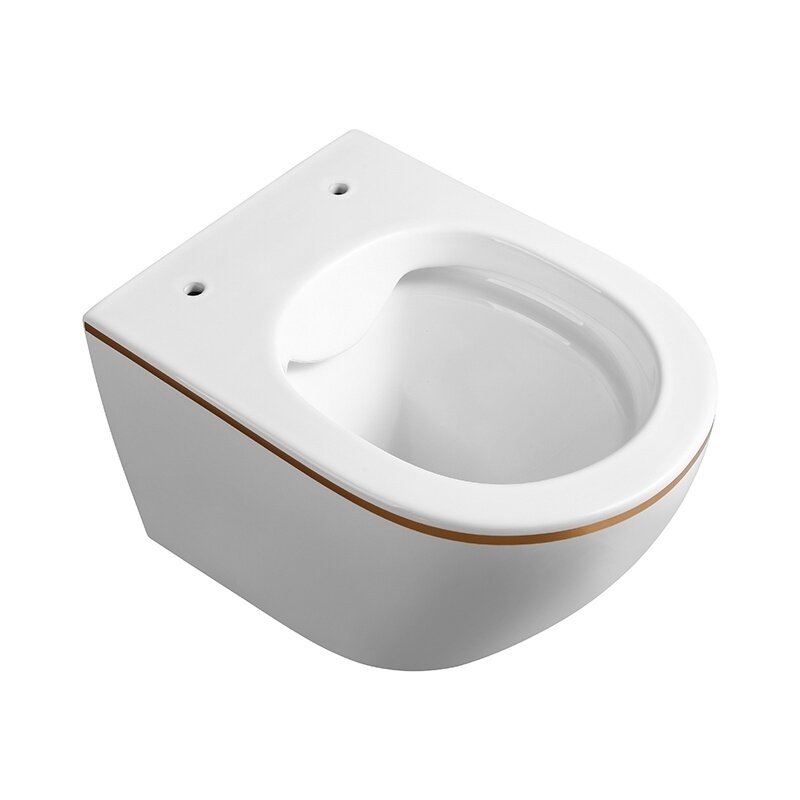WC KOMPLEKTAS SU POTINKINIU RĖMU IR MYGTUKU WC374 5