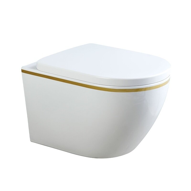 WC KOMPLEKTAS SU POTINKINIU RĖMU IR MYGTUKU WC100 1
