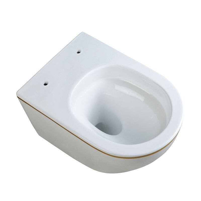 WC KOMPLEKTAS SU POTINKINIU RĖMU IR MYGTUKU WC100 3