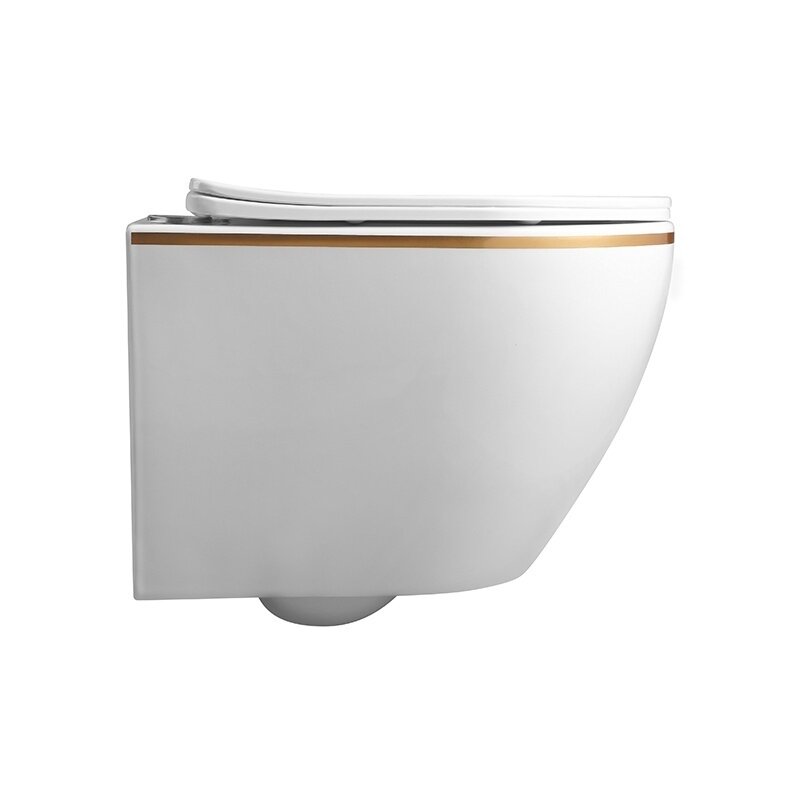 WC KOMPLEKTAS SU POTINKINIU RĖMU IR MYGTUKU WC372 9