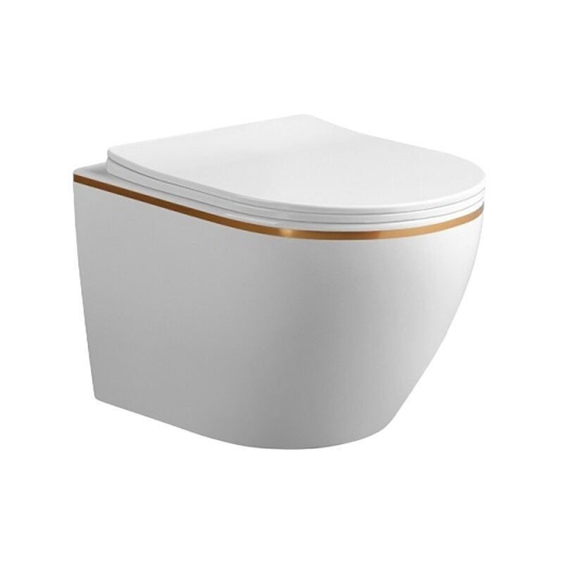 WC KOMPLEKTAS SU POTINKINIU RĖMU IR MYGTUKU WC373 3
