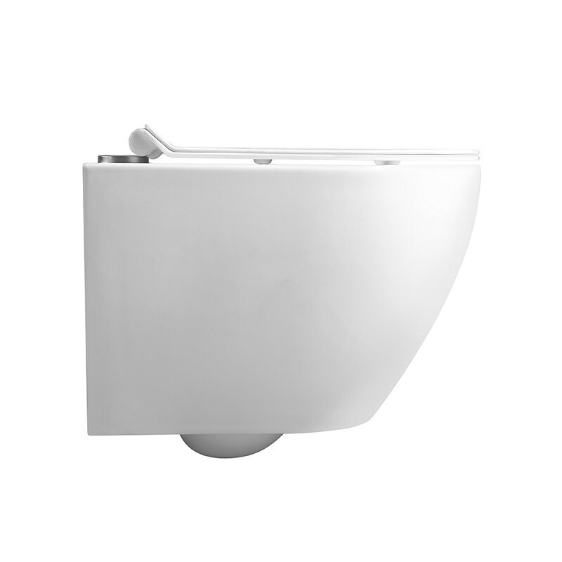 WC KOMPLEKTAS SU POTINKINIU RĖMU IR MYGTUKU WC31 5 WC KOMPLEKTAS SU POTINKINIU RĖMU IR MYGTUKU WC31 5