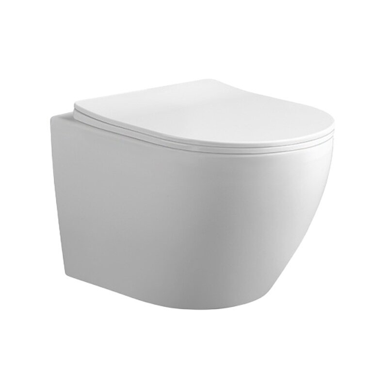 WC KOMPLEKTAS SU POTINKINIU RĖMU IR MYGTUKU WC38 1 WC KOMPLEKTAS SU POTINKINIU RĖMU IR MYGTUKU WC38 1