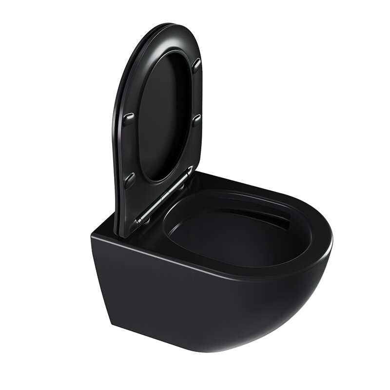 WC KOMPLEKTAS SU POTINKINIU RĖMU IR MYGTUKU WC89 3