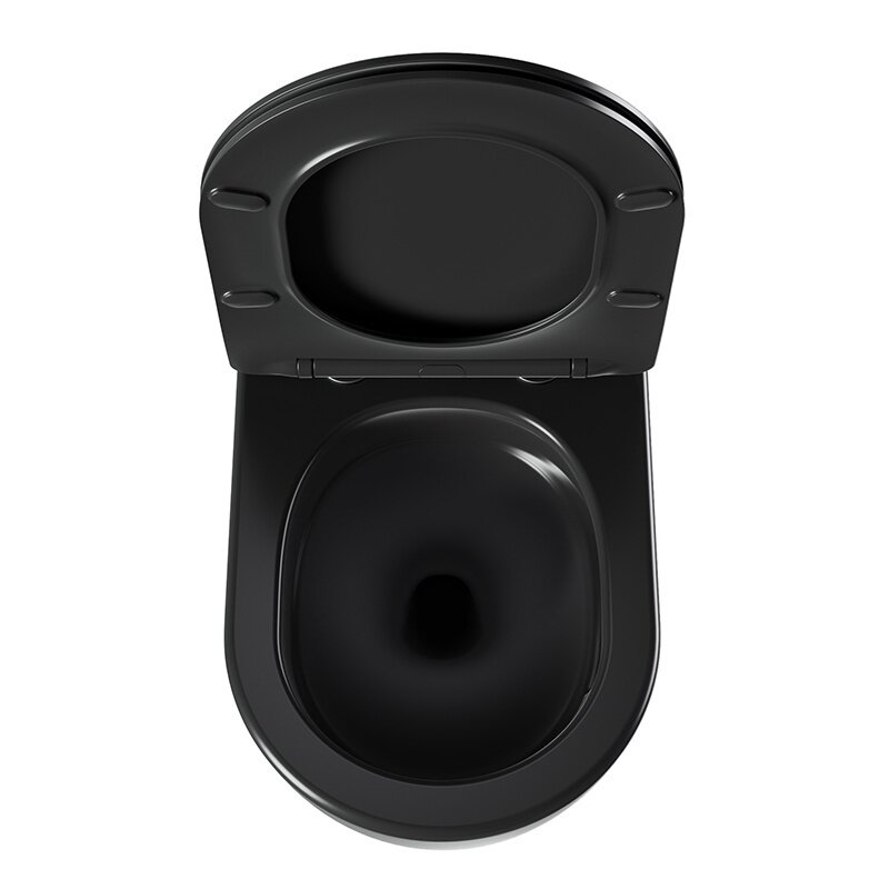 WC KOMPLEKTAS SU POTINKINIU RĖMU IR MYGTUKU WC89 4