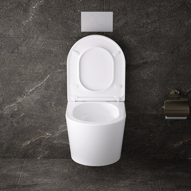 WC KOMPLEKTAS SU POTINKINIU RĖMU IR MYGTUKU WC159 12