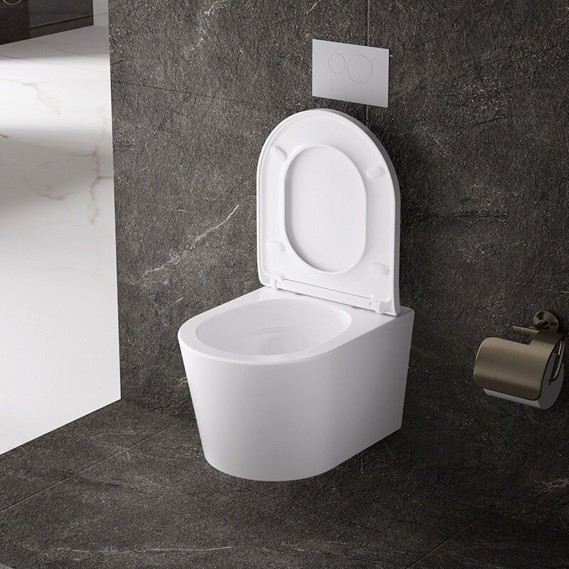 WC KOMPLEKTAS SU POTINKINIU RĖMU IR MYGTUKU WC158 6 WC KOMPLEKTAS SU POTINKINIU RĖMU IR MYGTUKU WC158 6