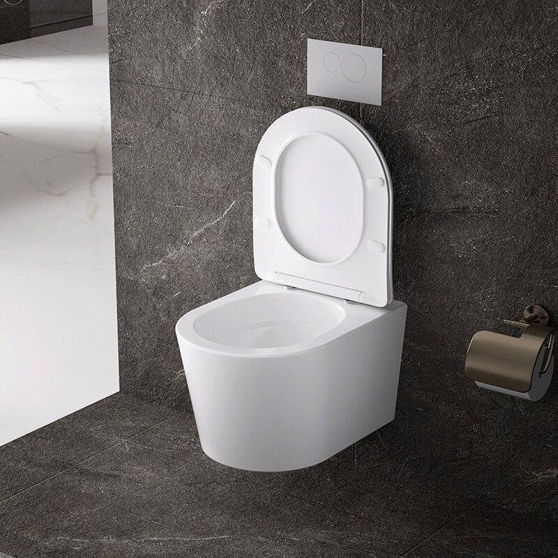 WC KOMPLEKTAS SU POTINKINIU RĖMU IR MYGTUKU WC155 6 WC KOMPLEKTAS SU POTINKINIU RĖMU IR MYGTUKU WC155 6