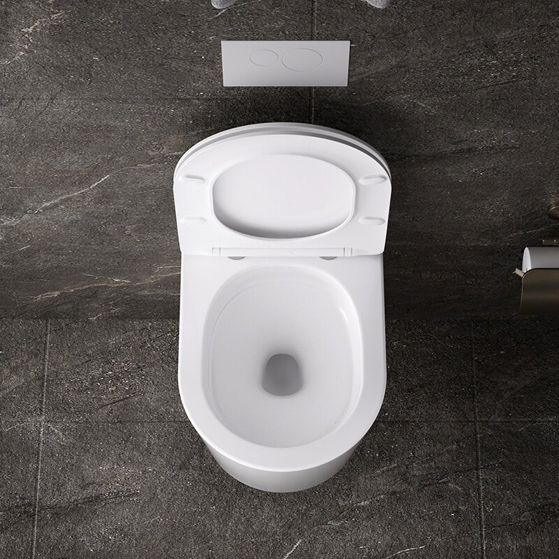 WC KOMPLEKTAS SU POTINKINIU RĖMU IR MYGTUKU WC154 10