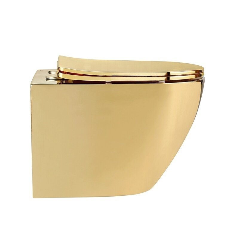 WC KOMPLEKTAS SU POTINKINIU RĖMU IR MYGTUKU WC319 5 WC KOMPLEKTAS SU POTINKINIU RĖMU IR MYGTUKU WC319 5