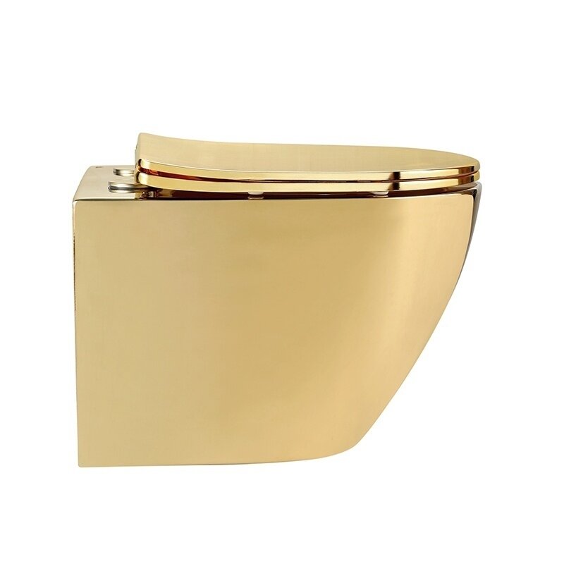 WC KOMPLEKTAS SU POTINKINIU RĖMU IR MYGTUKU WC315 5