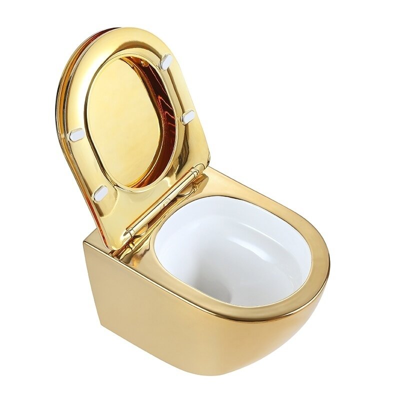 WC KOMPLEKTAS SU POTINKINIU RĖMU IR MYGTUKU WC315 7 WC KOMPLEKTAS SU POTINKINIU RĖMU IR MYGTUKU WC315 7