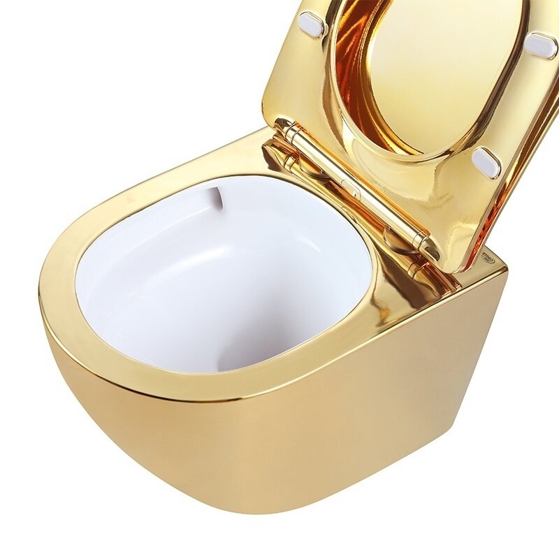 WC KOMPLEKTAS SU POTINKINIU RĖMU IR MYGTUKU WC313 9 WC KOMPLEKTAS SU POTINKINIU RĖMU IR MYGTUKU WC313 9