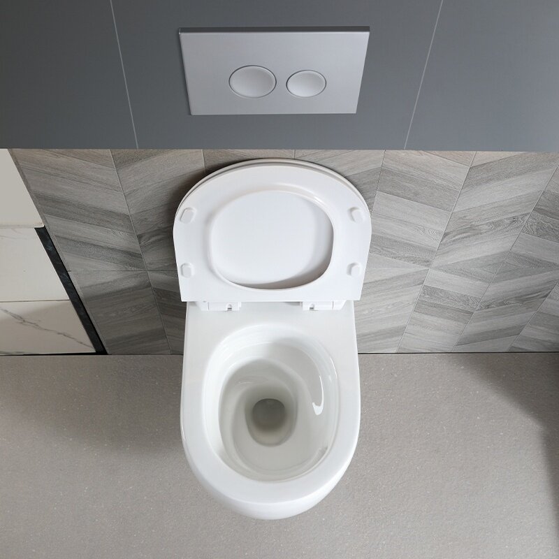 WC KOMPLEKTAS SU POTINKINIU RĖMU IR MYGTUKU WC291 8