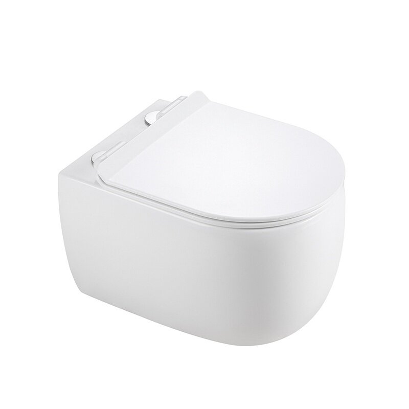 WC KOMPLEKTAS SU POTINKINIU RĖMU IR MYGTUKU WC291 3 WC KOMPLEKTAS SU POTINKINIU RĖMU IR MYGTUKU WC291 3